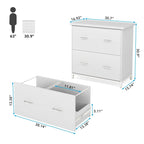 2 Drawer Lateral File Cabinet Printer Stand with Stroage