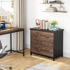 2 Drawer Lateral File Cabinet Printer Stand with Stroage