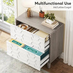 2-Drawer Lateral File Cabinet, Filing Cabinet for Home Office