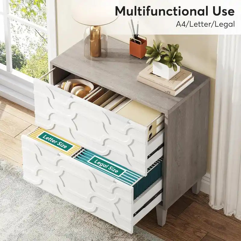 2-Drawer Lateral File Cabinet, Filing Cabinet for Home Office