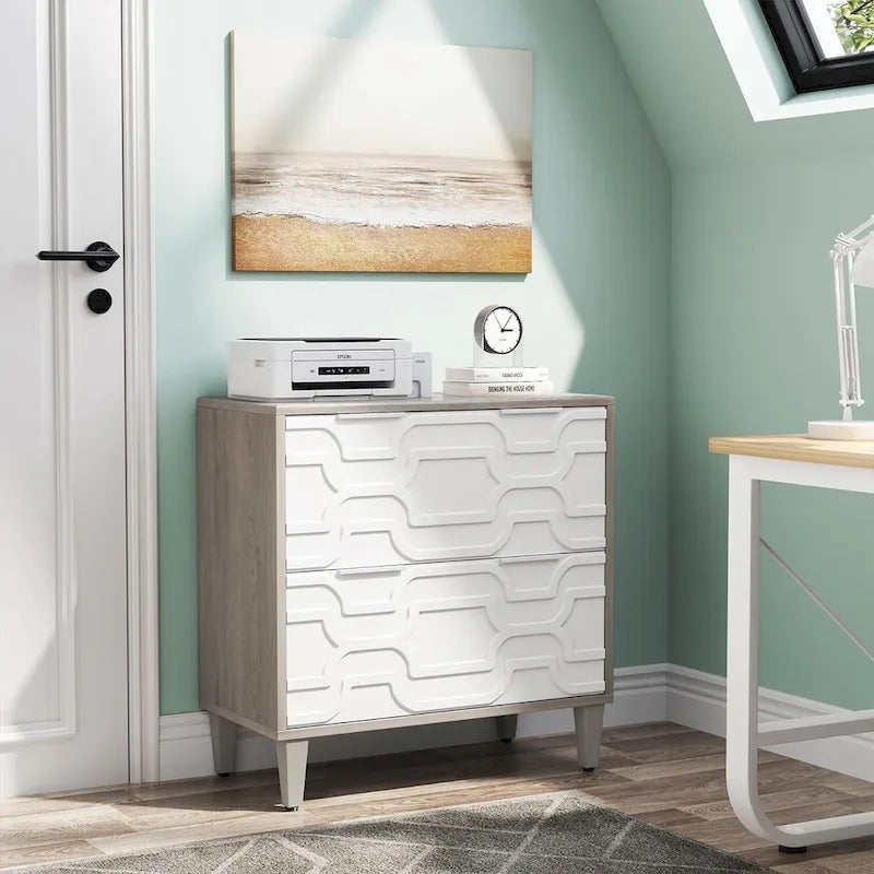 2-Drawer Lateral File Cabinet, Filing Cabinet for Home Office