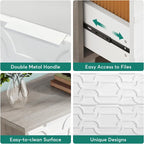 2-Drawer Lateral File Cabinet, Filing Cabinet for Home Office