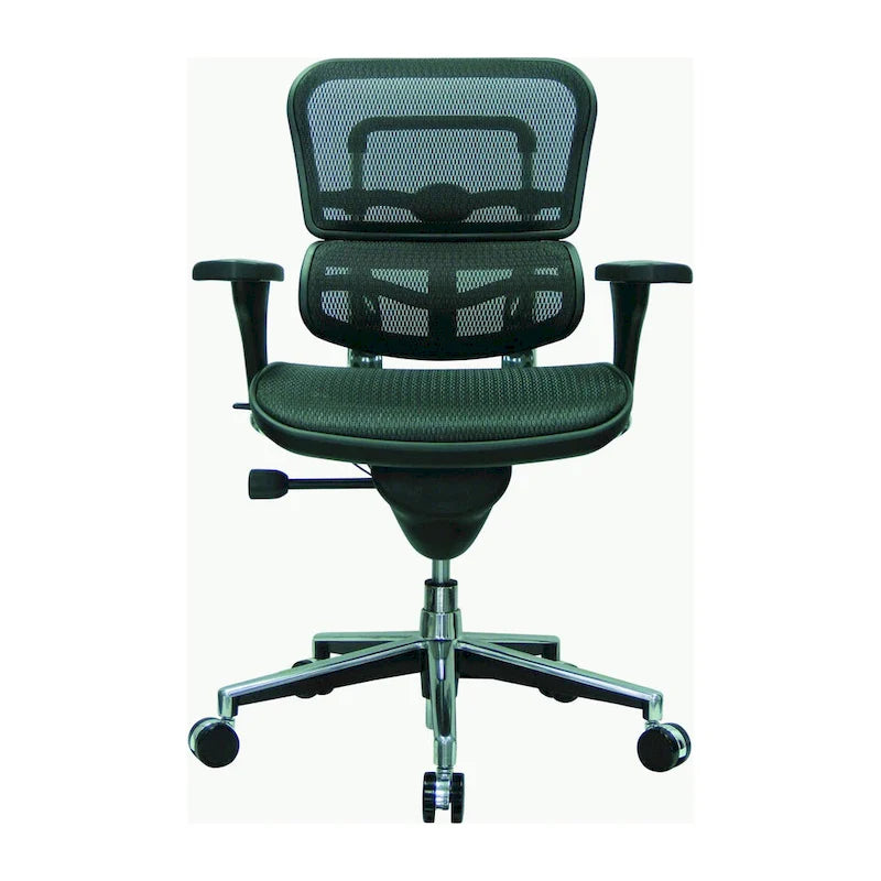 Eurotech Seating Ergohuman Mesh Managers Chair